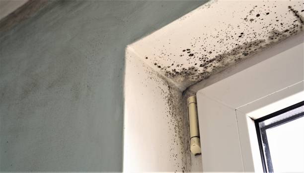 Best Indoor Air Quality Assessment  in Santa Rosa, NM