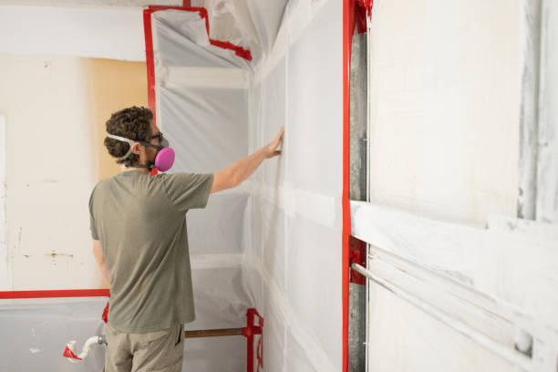 Best Comprehensive Air Testing for Mold Contaminants  in Santa Rosa, NM