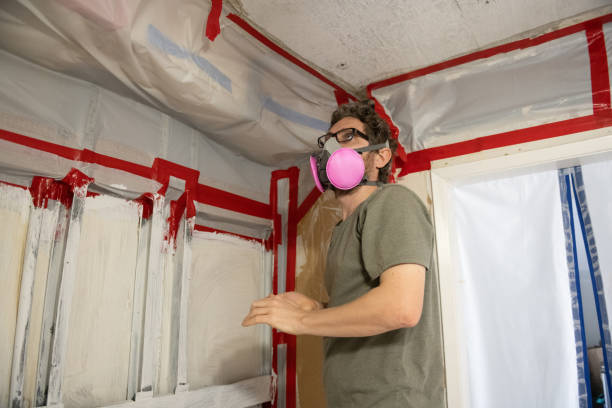 Best Emergency Mold Remediation  in Santa Rosa, NM