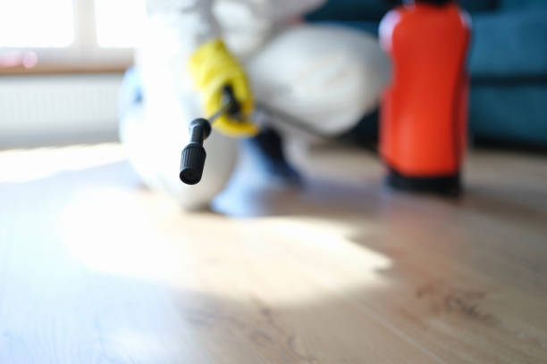 Professional Mold Removal in Santa Rosa, NM