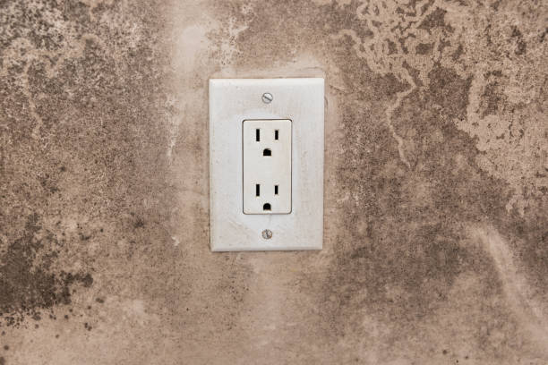 Best Mold Odor Removal Services  in Santa Rosa, NM